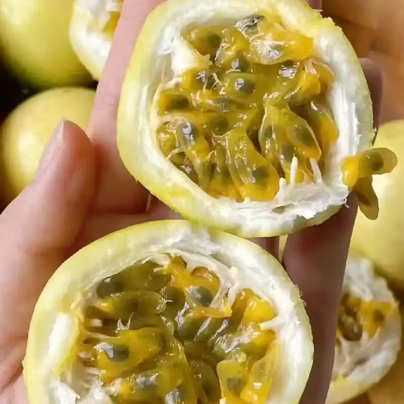 【次日达】百香果水果500g/1000g装包邮送货上门新鲜百香果新疆维吾尔自治区