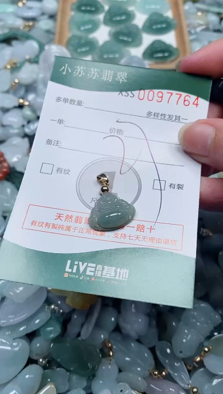 【闪购商品】翡翠颈饰未镶嵌闪购商品0097764