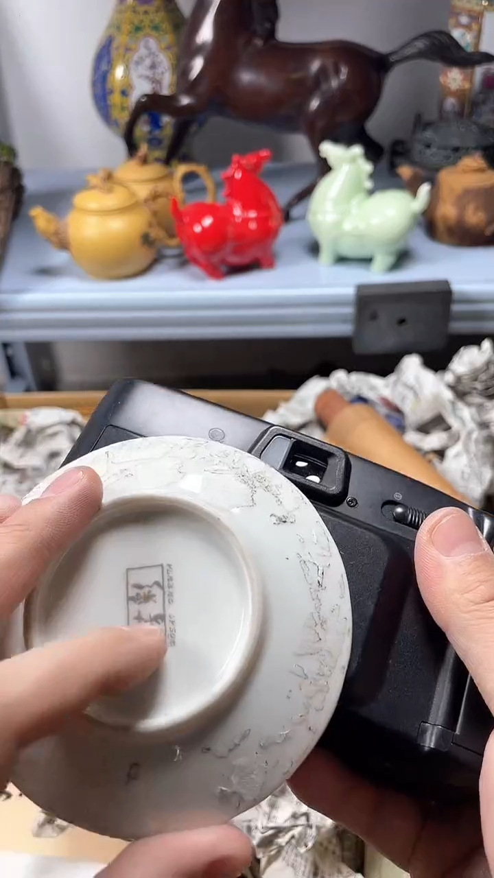 【闪购商品】瓷片瓷片瓷片瓷片瓷片