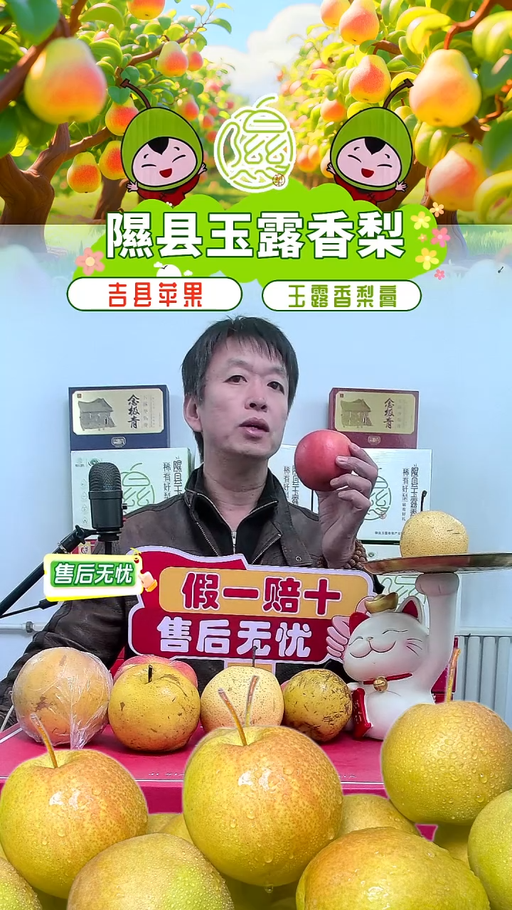 红富士苹果正宗山西吉县壶口苹果原生态22颗左右装净重8.3斤