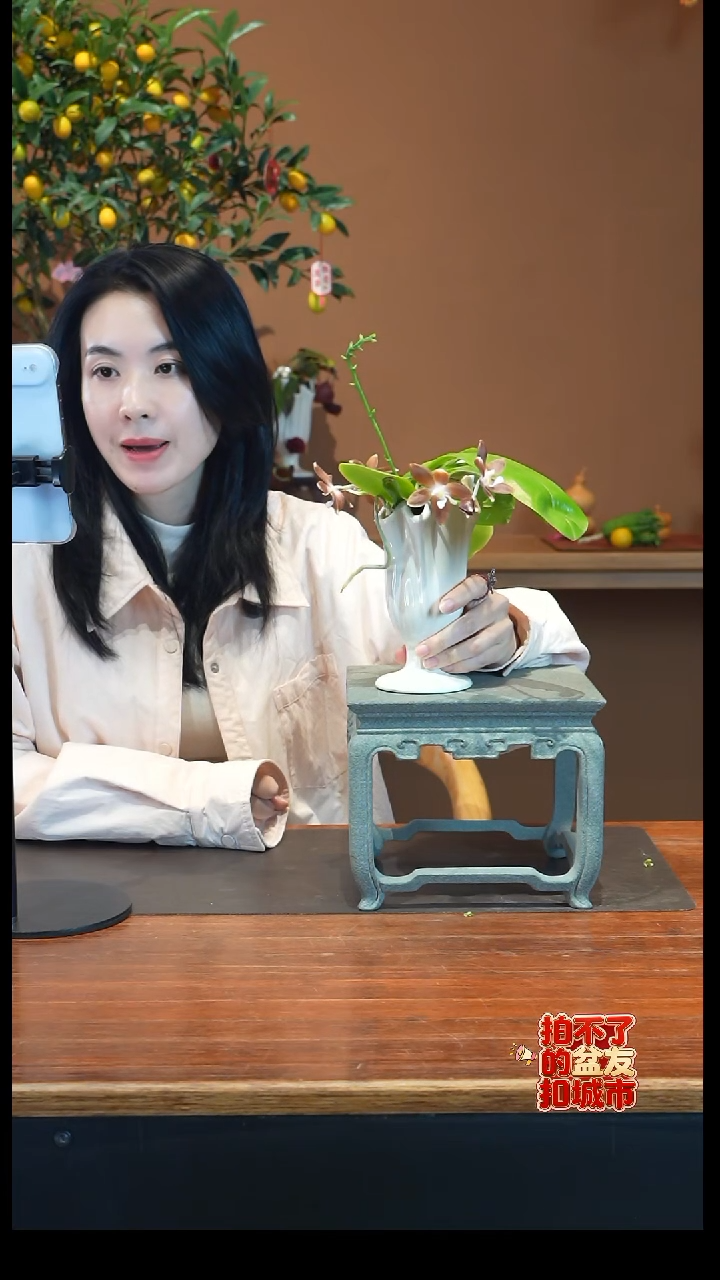 全部花朵咖啡盾盆景盆景盆景