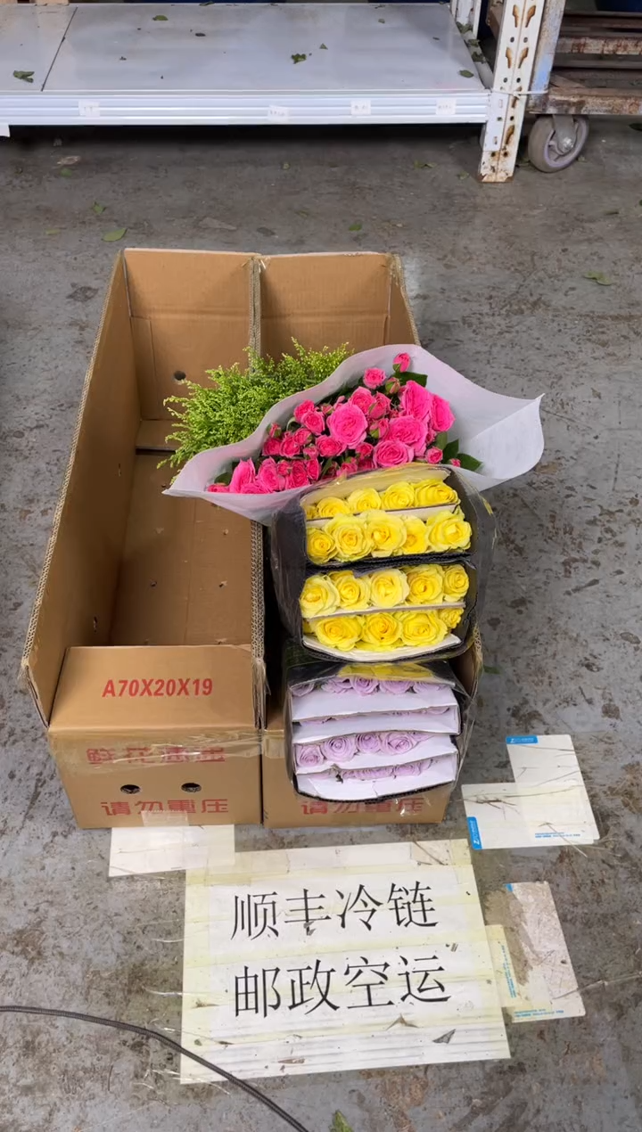 海洋之歌20枝+浪漫沙滩20枝+苏菲10枝+黄莺