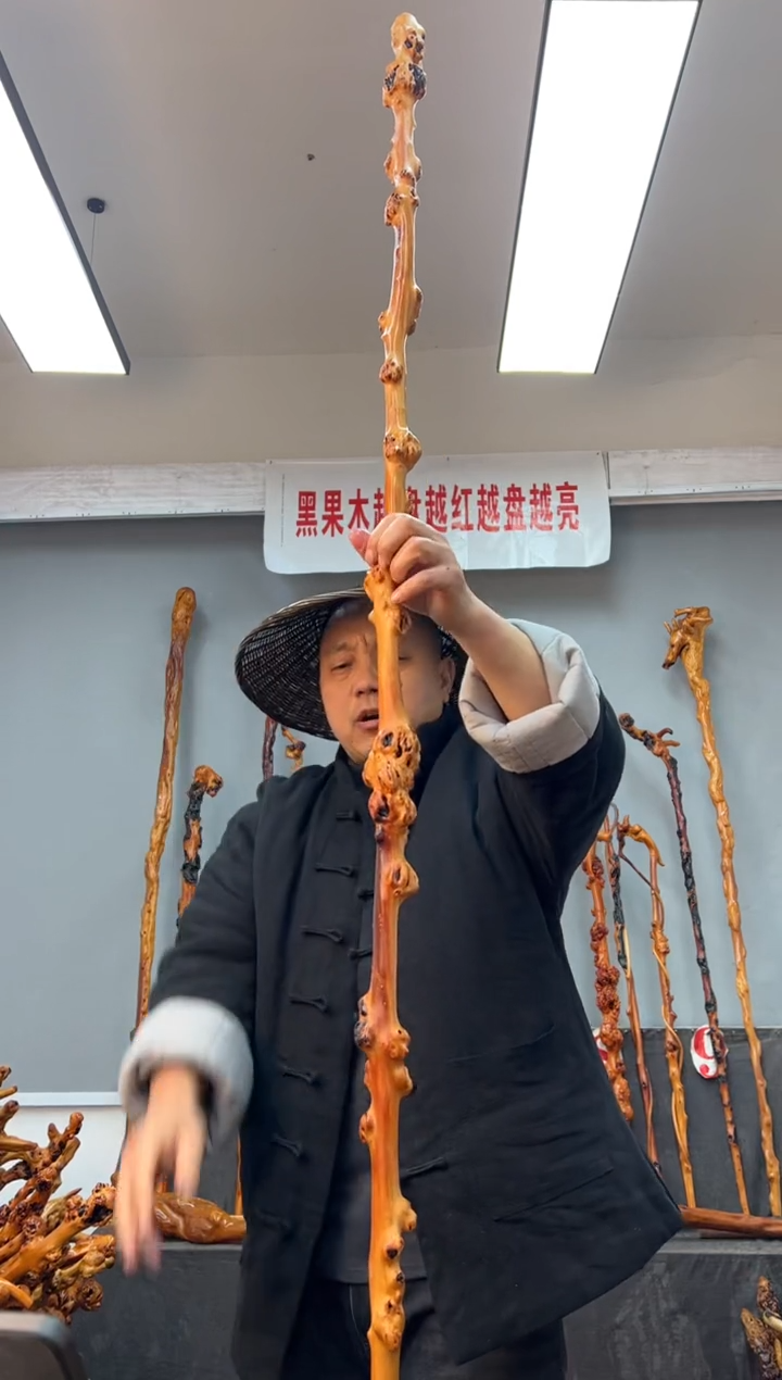 【闪购商品】黑果木其他黑果木234