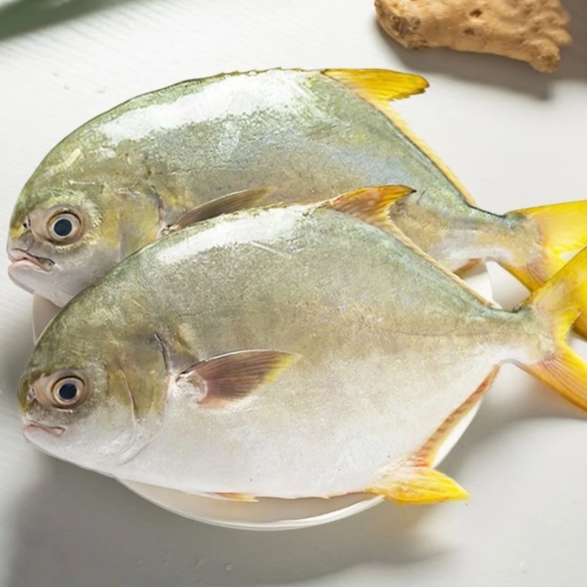 顺丰次日达阳江深海金鲳鱼7条装新鲜速冻发货码头直发