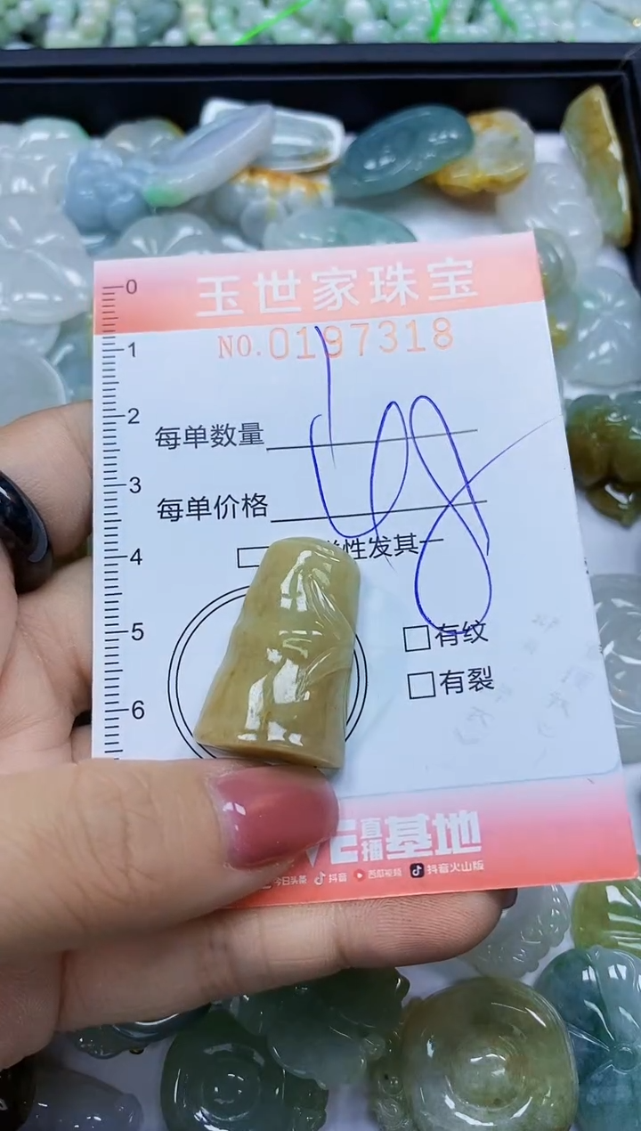 【闪购商品】翡翠颈饰未镶嵌闪购0197318