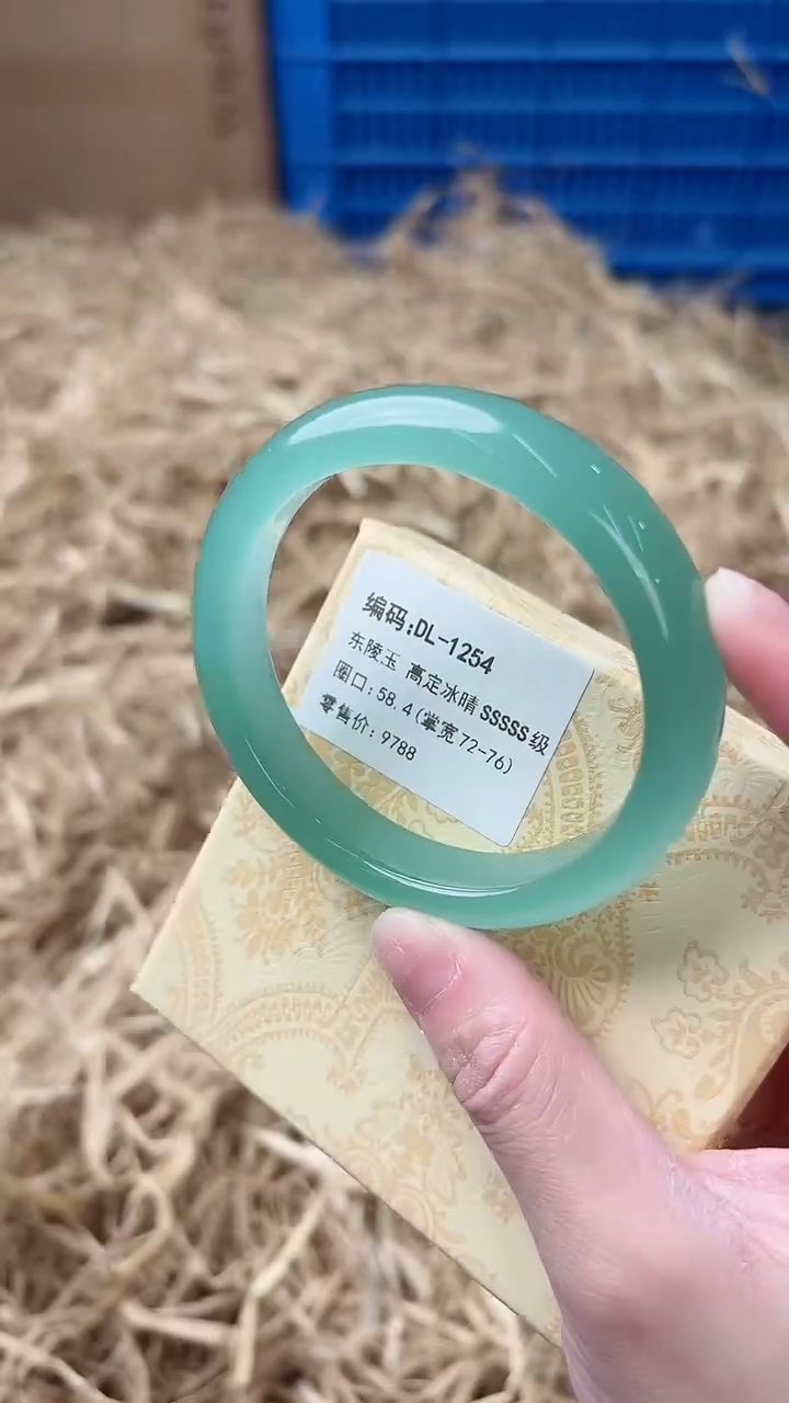 未镶嵌手镯石英质玉DL-1254