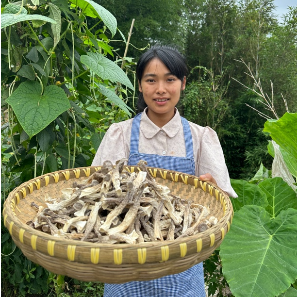 【高山鹿茸菇】干货农家特产无硫 香脆可口营养煲汤