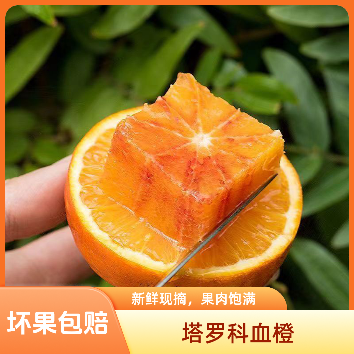 【次日达】农村自家种的血橙巨乡音 ，9.9到手5斤Z