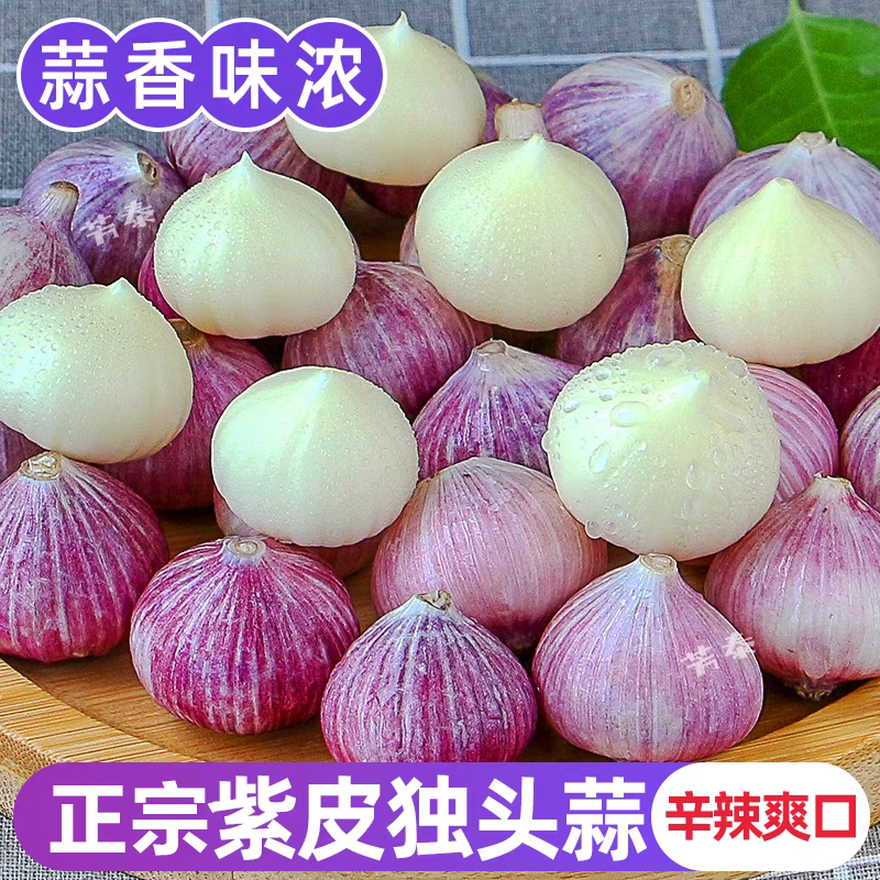 【新店半价】紫皮独头蒜大蒜头新晒干蒜0.5/2/3/5斤包邮