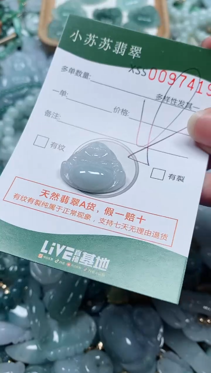 【闪购商品】翡翠颈饰未镶嵌闪购商品0097419