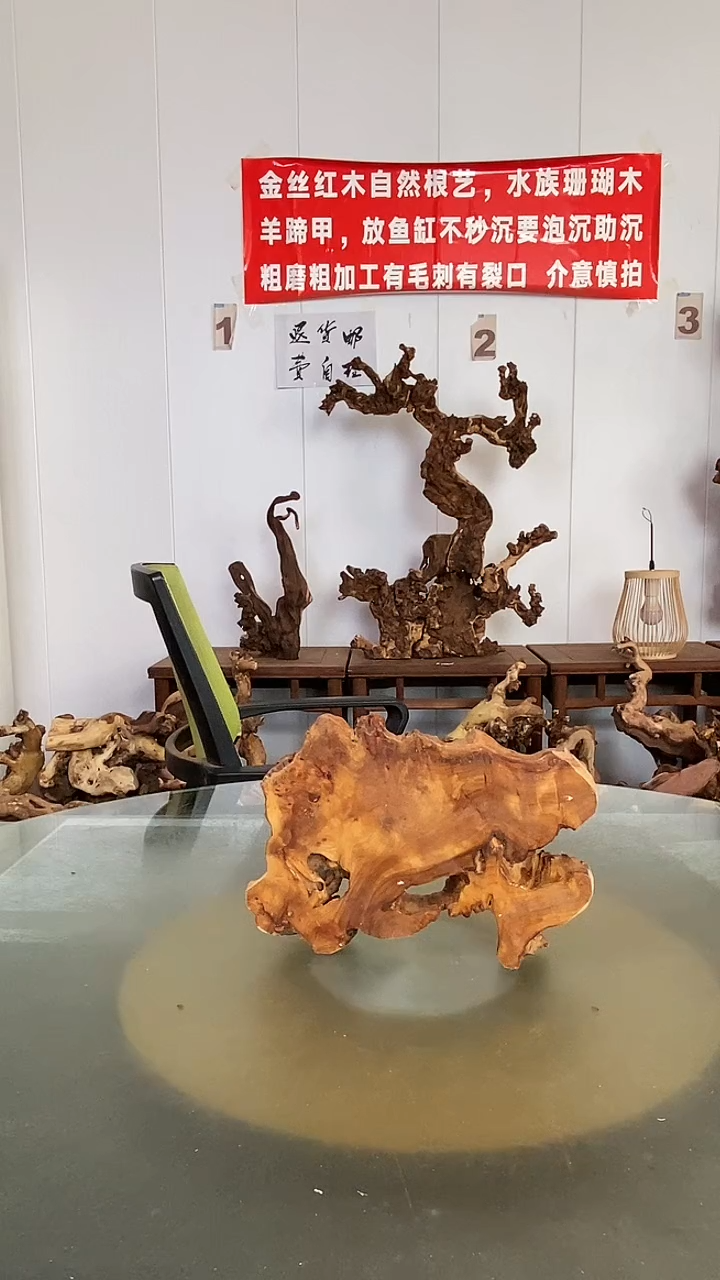 香榧木虫金丝红木 羊蹄甲