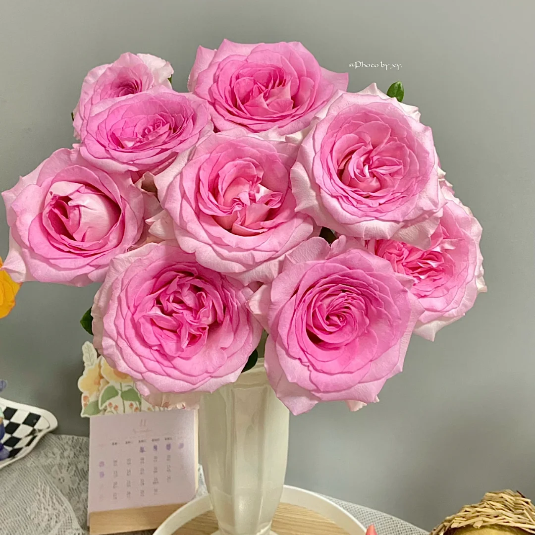 【超值爆款】【洛神玫瑰】云南鲜花 全店任意两件包邮送货上门