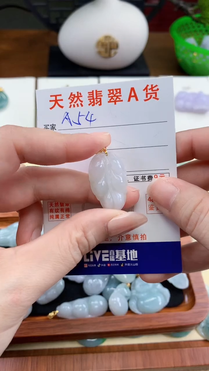 颈饰未镶嵌翡翠天然A货翡翠挂件