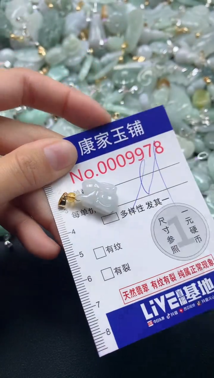 颈饰未镶嵌翡翠9978