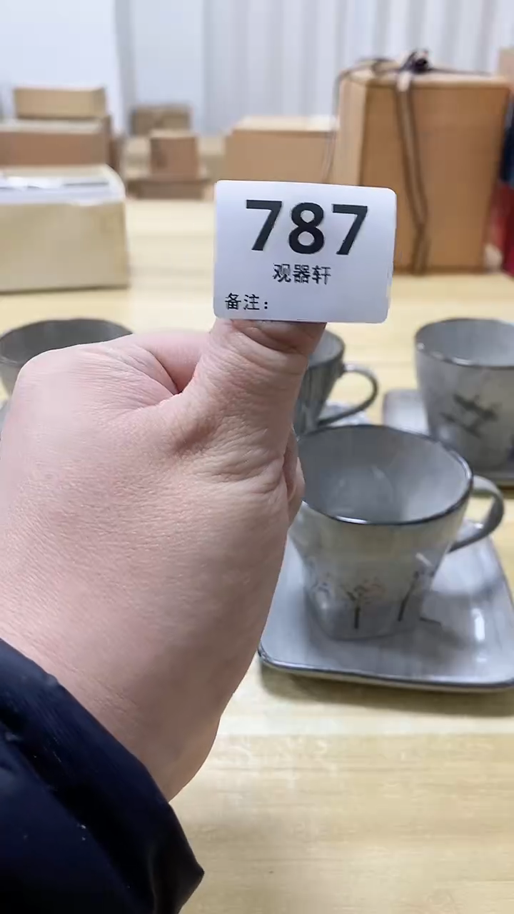 【闪购商品】瓷片787观器轩欢迎您
