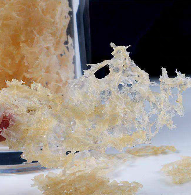 云南高原 草本银耳 