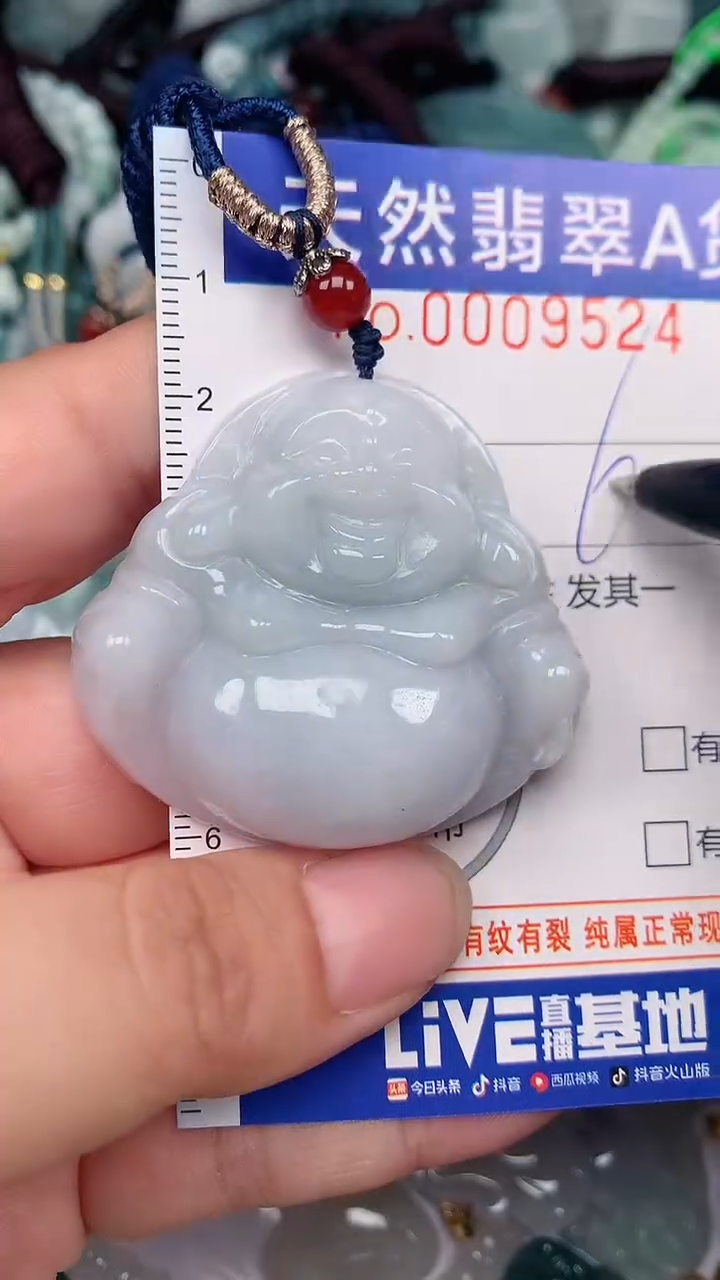 翡翠未镶嵌颈饰...0009524