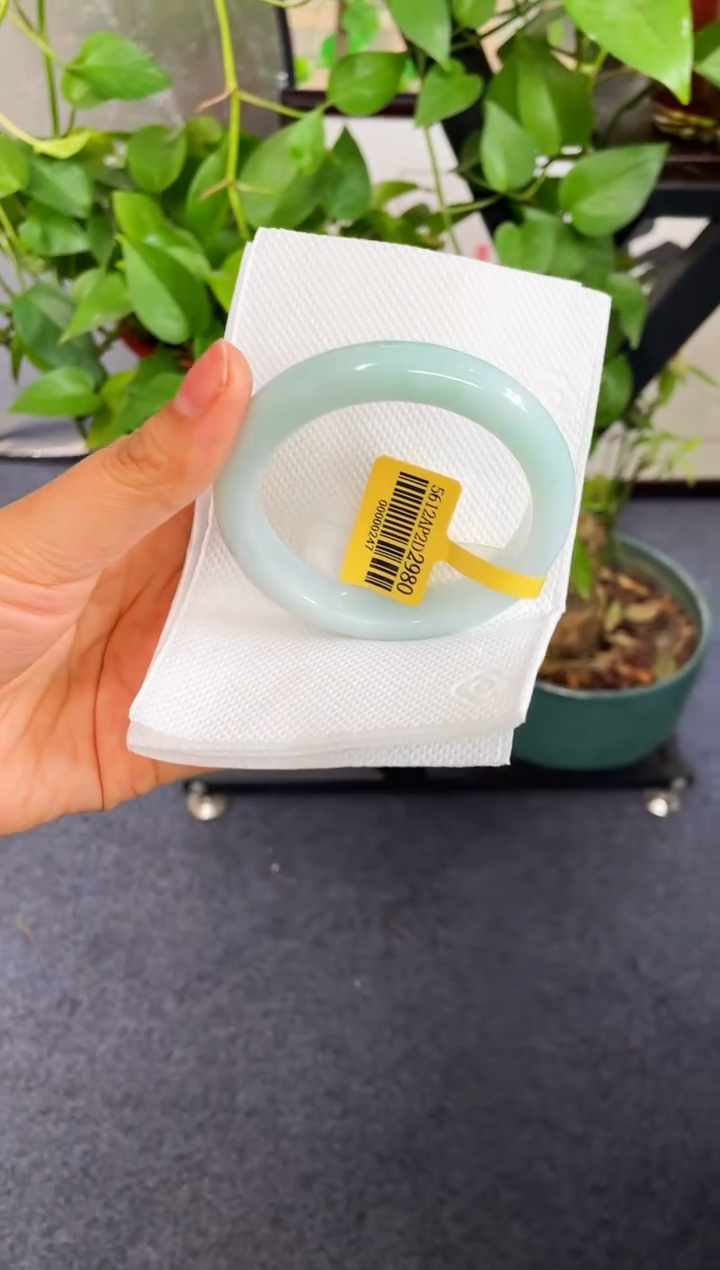 未镶嵌手镯翡翠104-56.5