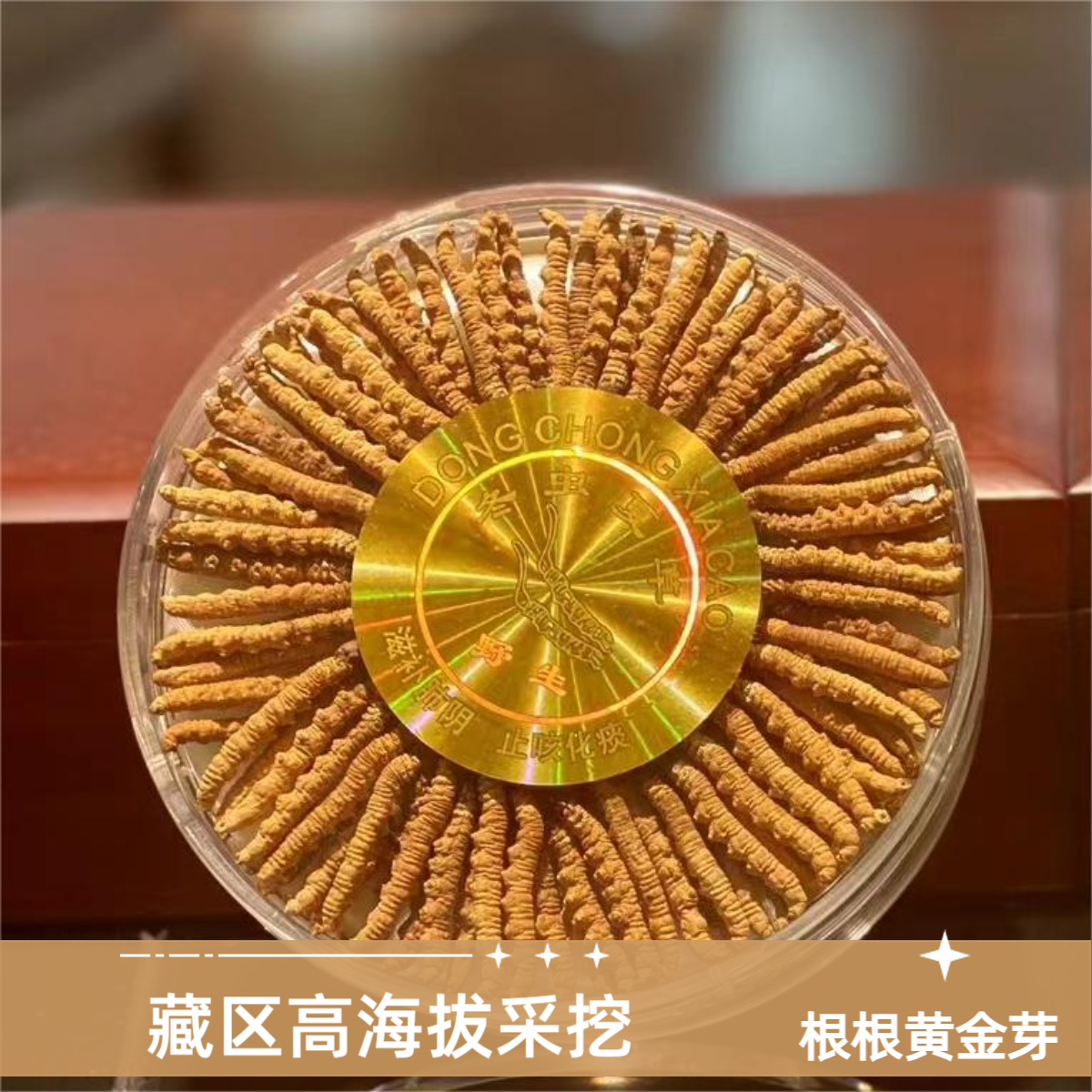 玉草地  精品藏区高海拔冬虫夏草