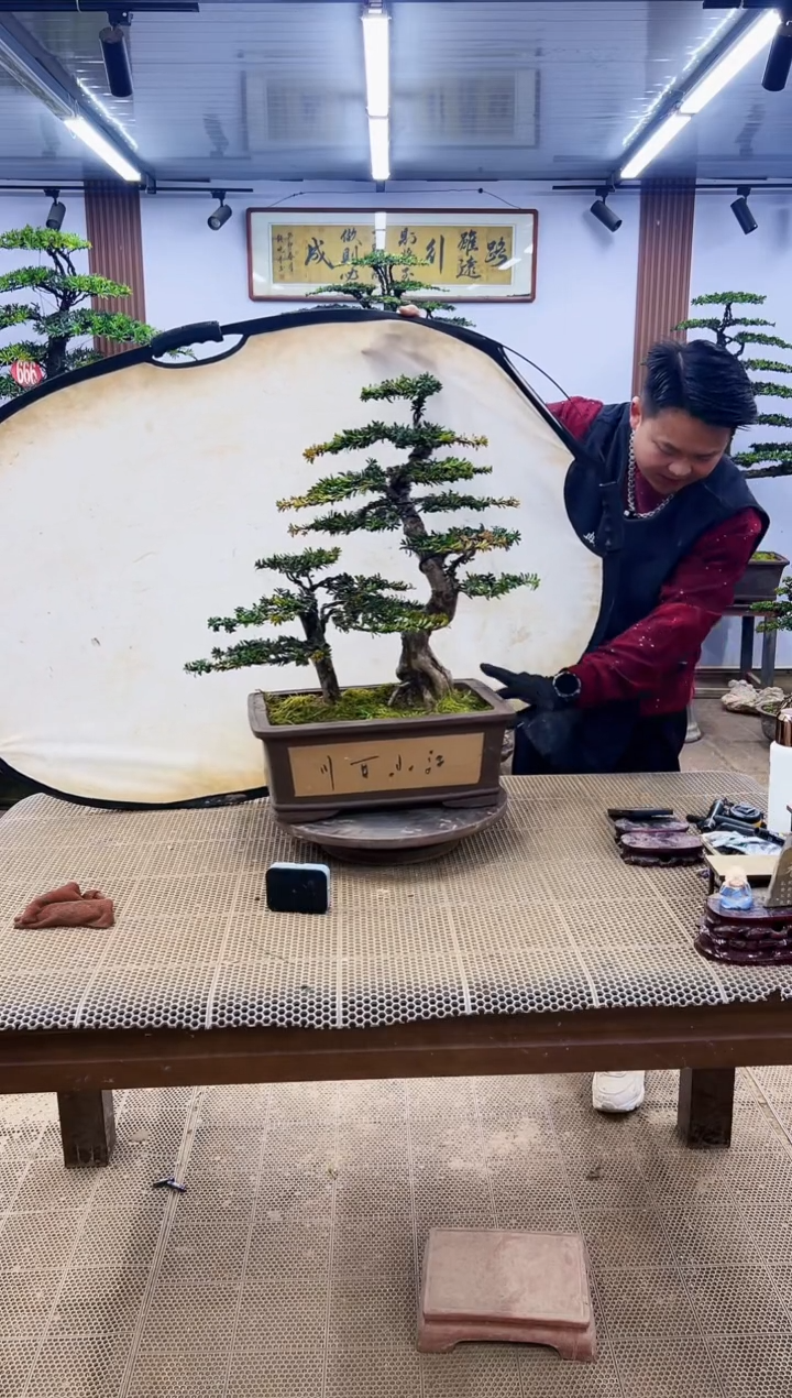 【闪购商品】000000000