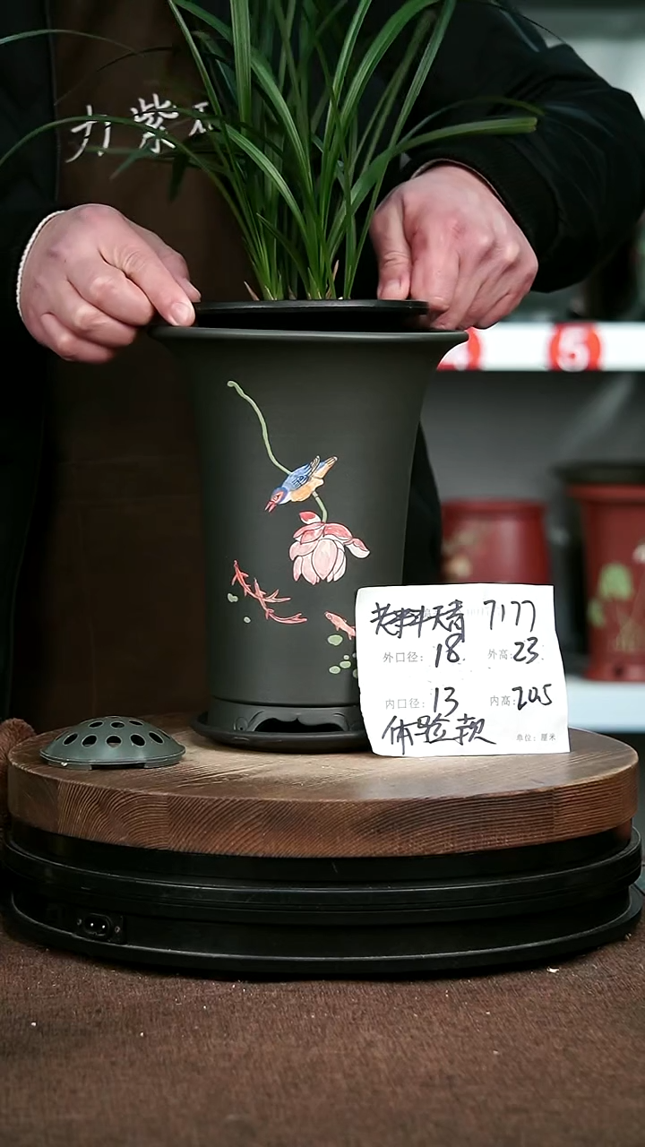 紫砂花盆花卉园艺7177+Z
