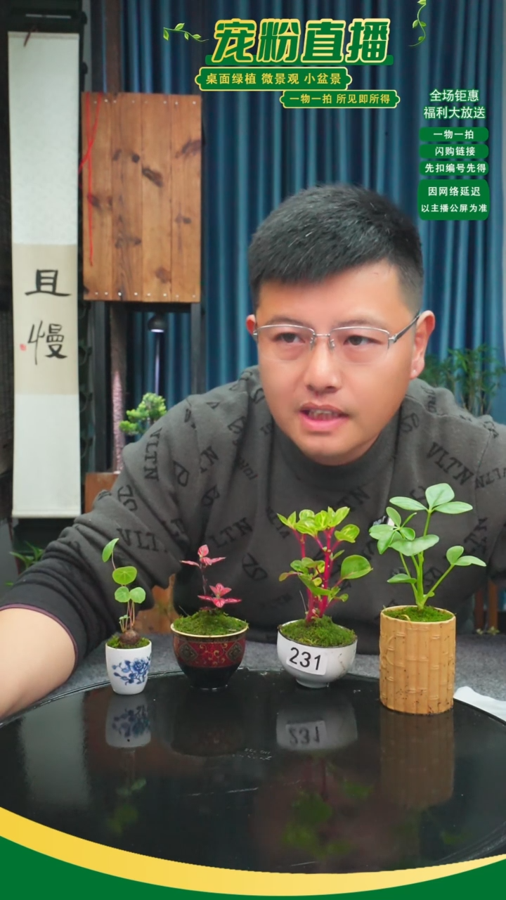 无花朵?****✨苔藓微景观231号