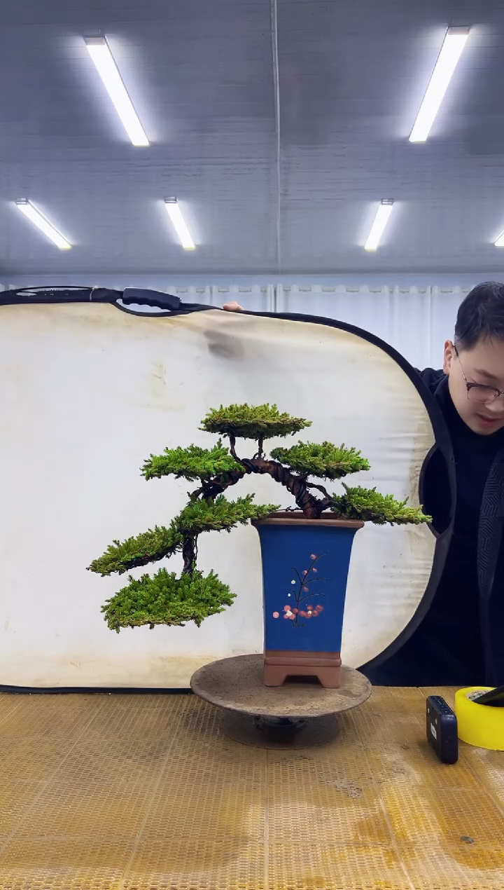 无花朵0000000000000000