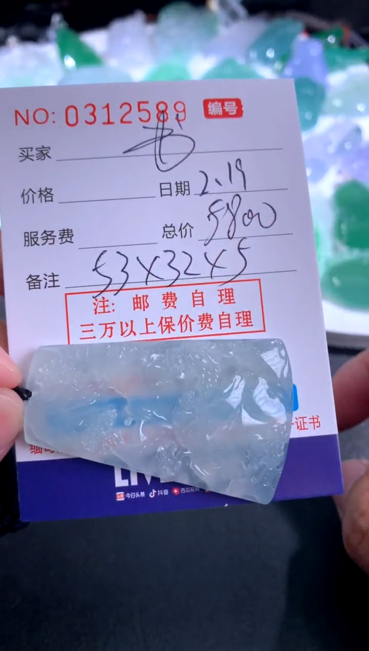 【闪购商品】翡翠颈饰未镶嵌 书