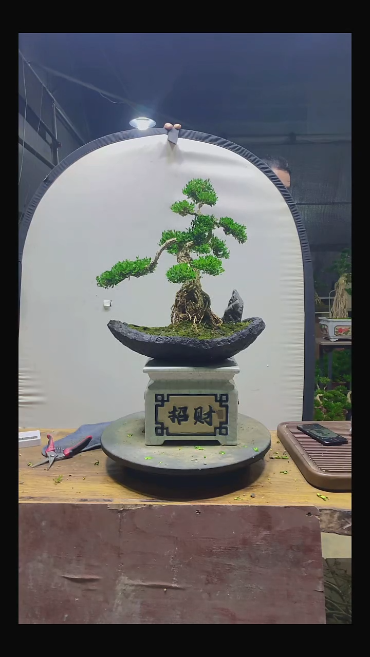 完全开放王*11111111111111