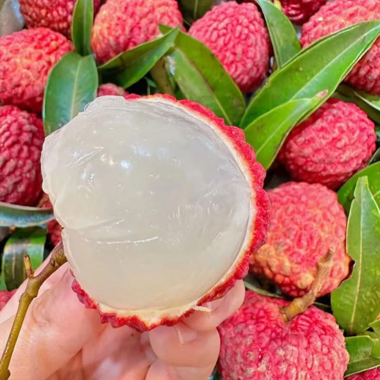 【顺丰次日达】广西贵妃红荔枝王稀有品种纯甜无酸核小新鲜水果荔枝