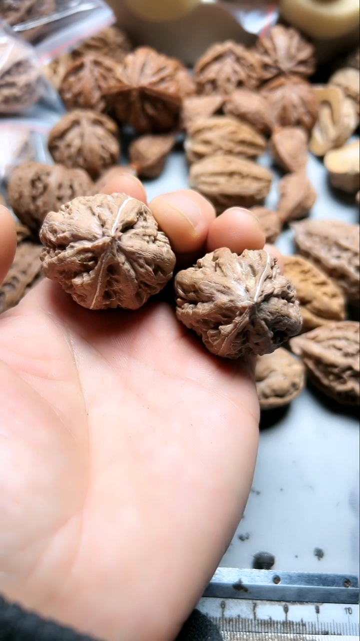 核桃东北野生大秋子2