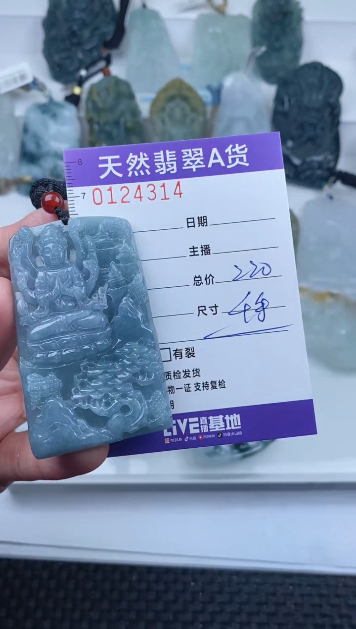 【闪购商品】翡翠颈饰未镶嵌         314