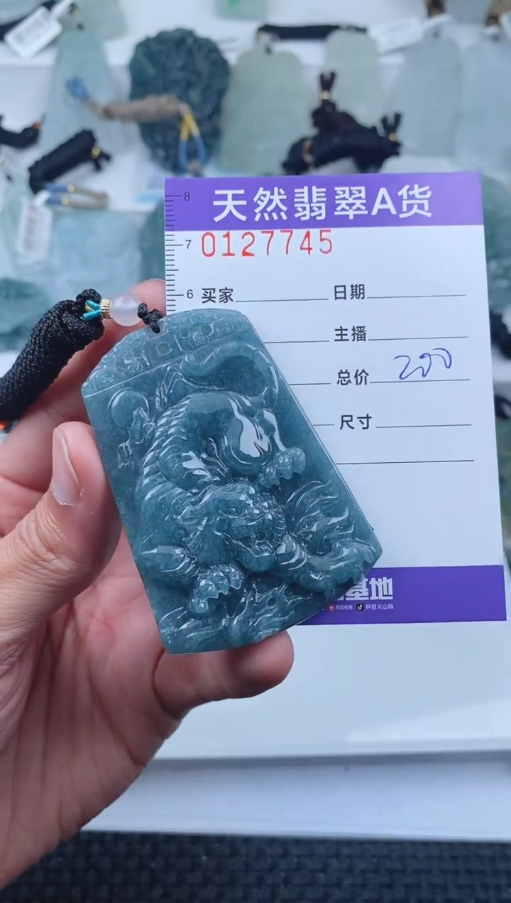 【闪购商品】翡翠颈饰未镶嵌        745