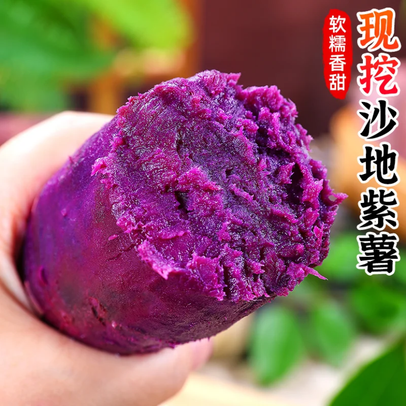 【紫罗兰紫薯】正宗沙地现挖紫罗兰紫薯软糯香甜产地直发