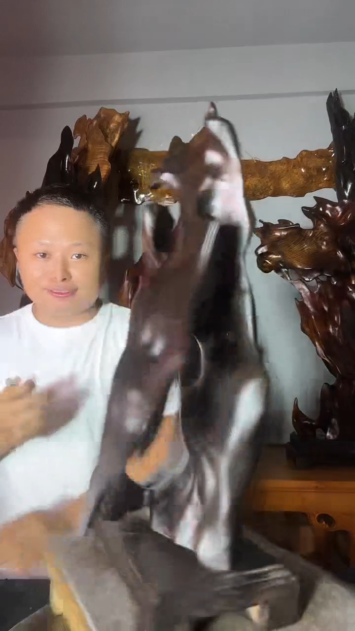 金丝楠暄*晨以直播间介绍为准