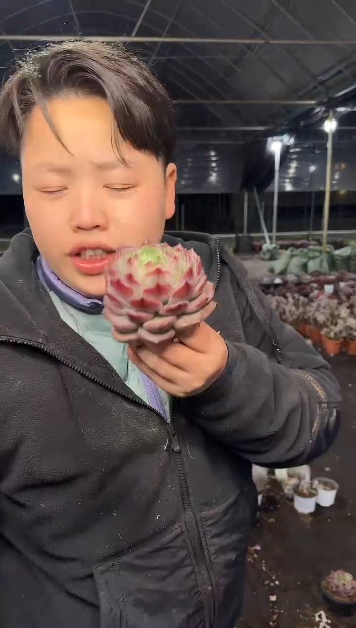 单头夜魔侠8CM 5.99    