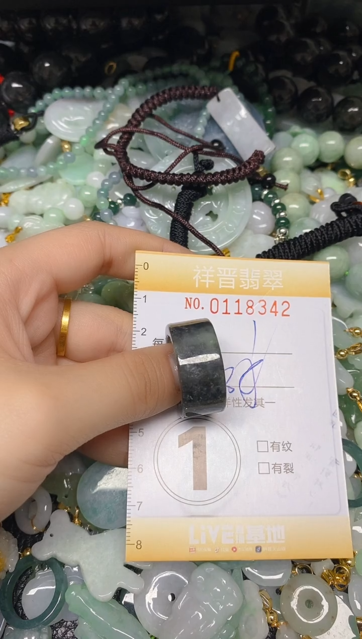 【闪购商品】翡翠颈饰未镶嵌闪购0118342