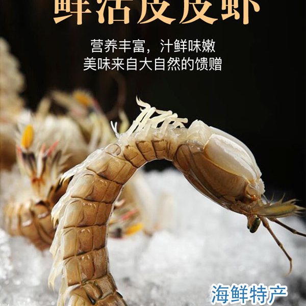 【保鲜不保活】特价虾爬子 公母混装 东港小船虾爬子 