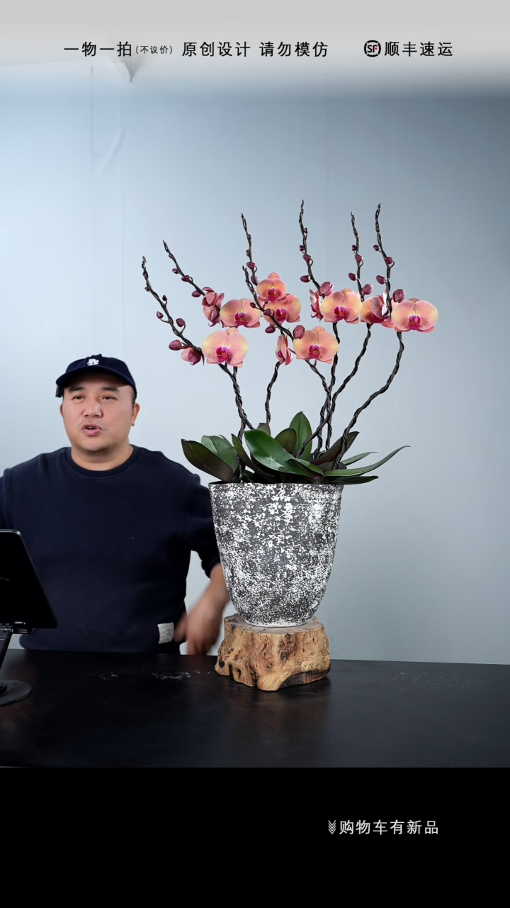 【闪购商品】128号链接【一物一拍】艺术盆景