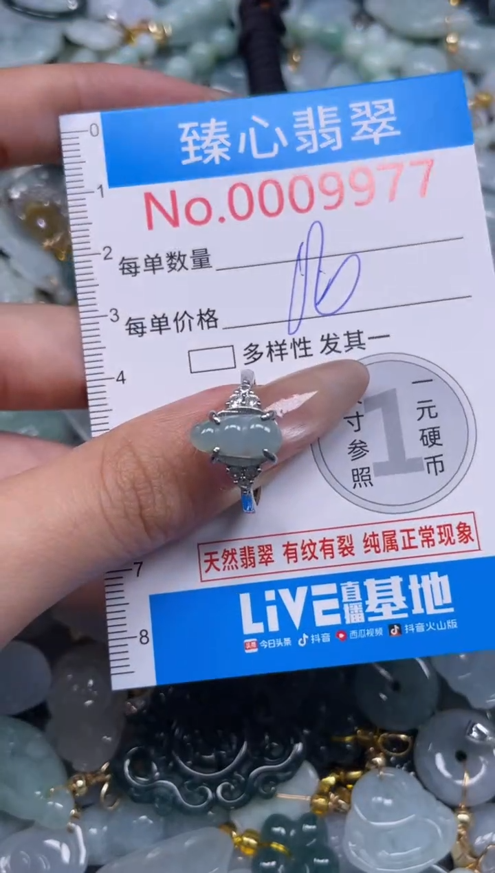 颈饰未镶嵌翡翠9977