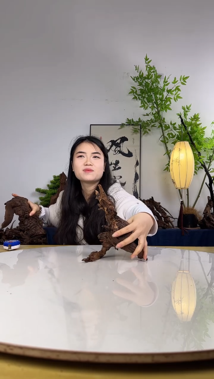 我**我拍沉木定向链接编号36