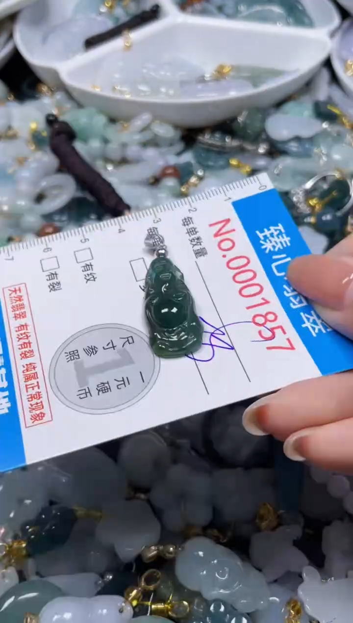 颈饰未镶嵌翡翠1857