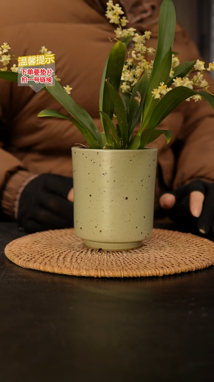 瓷片内口径约 8外高约11