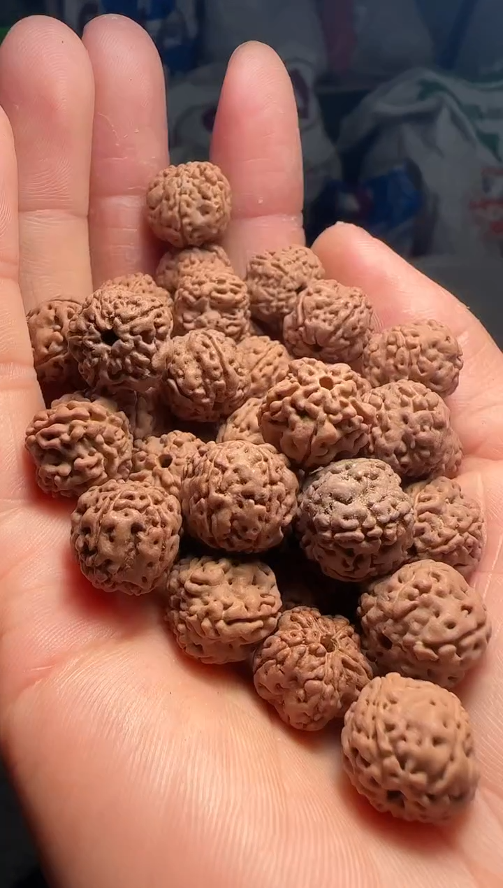 手串金刚菩提非全品老树玉梅花散籽13-14mm一份一百颗