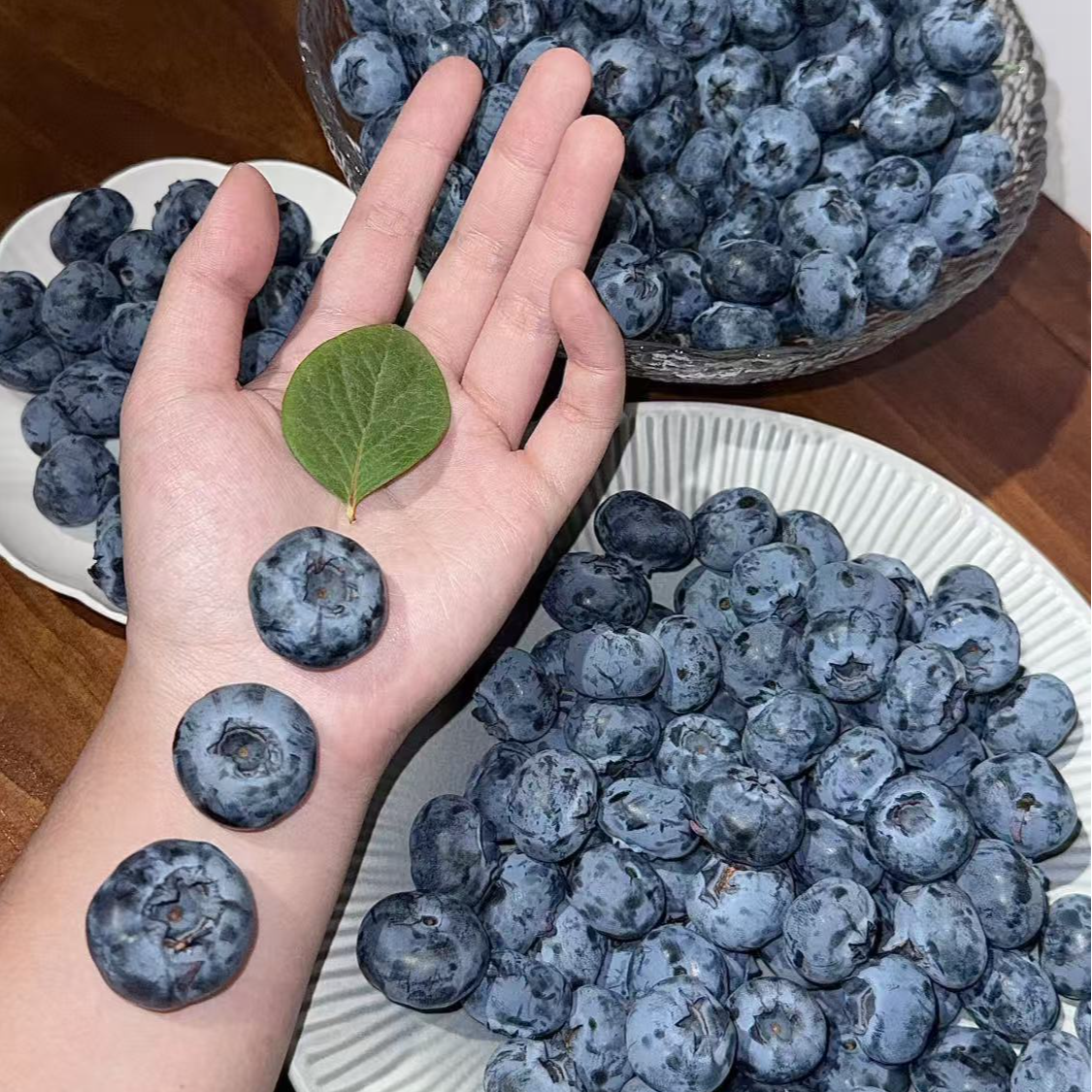 小胖蓝莓【纯甜25花香】【云南抚仙湖核心产区】【顺丰空运】