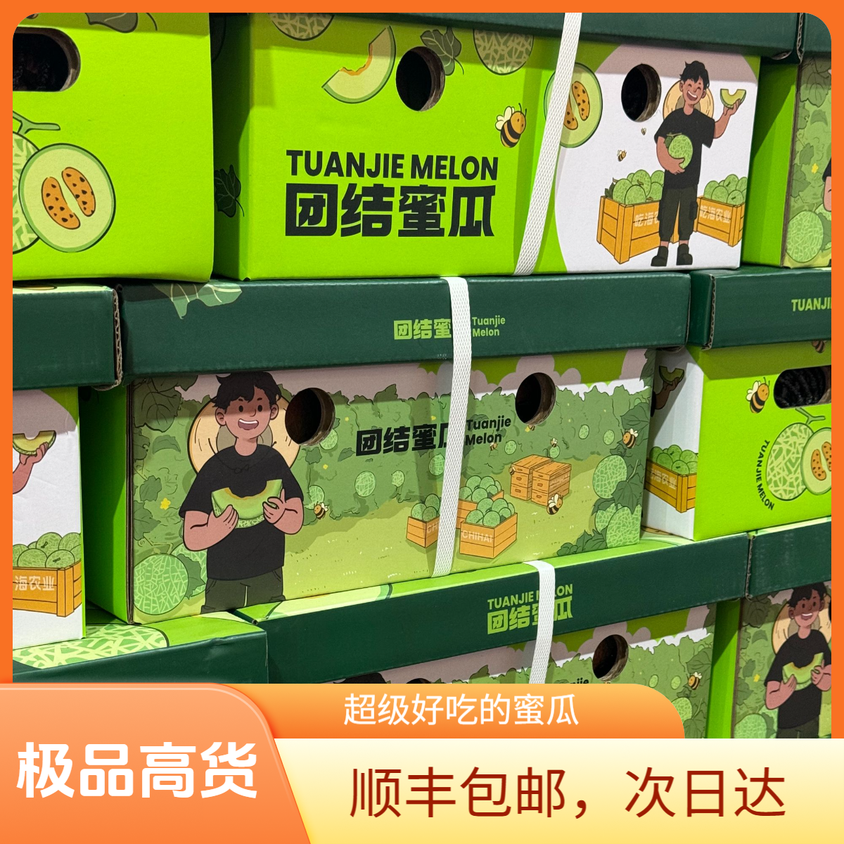 【极品高货】海南三亚牛3团结蜜瓜新鲜现发【顺丰次日达】海南省
