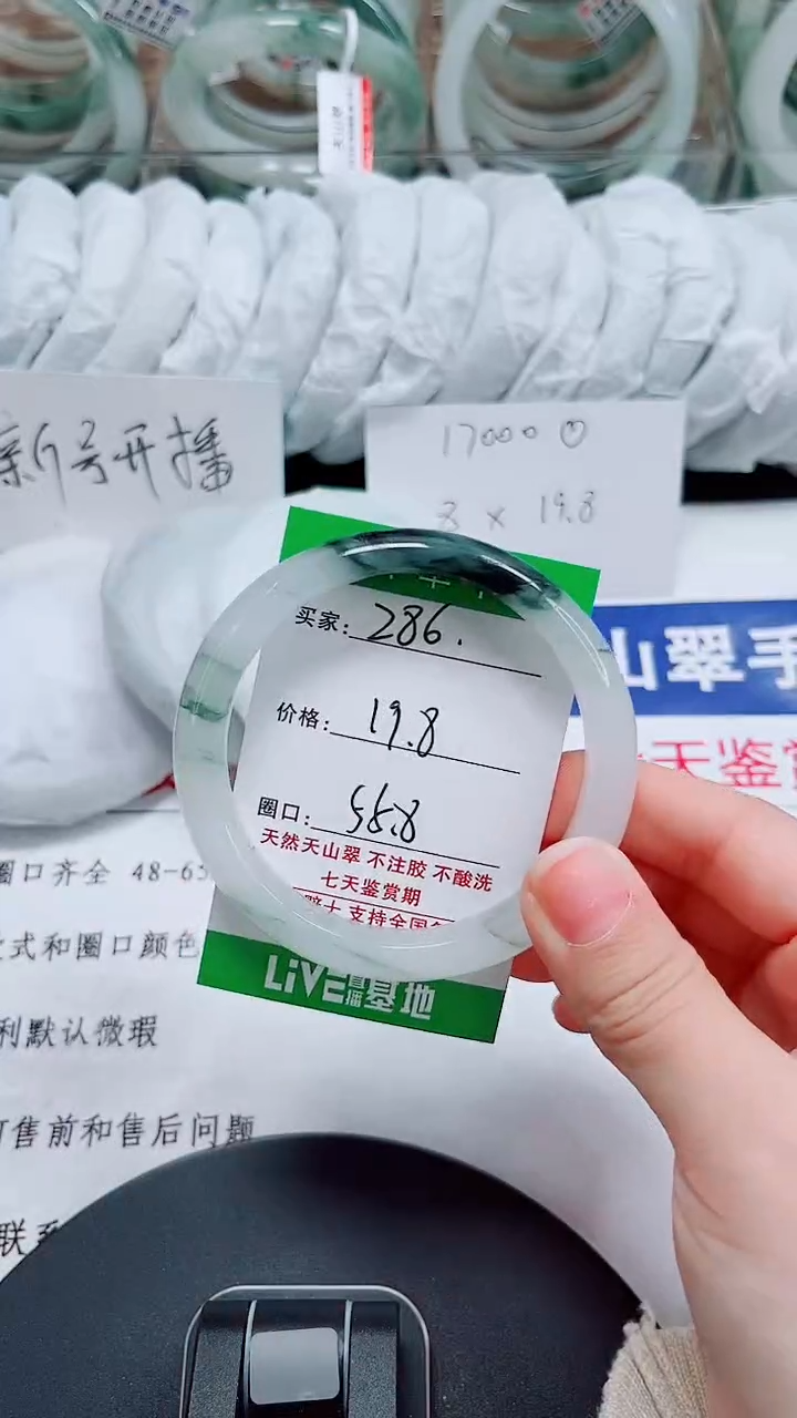 未镶嵌手镯石英质玉286-55/56