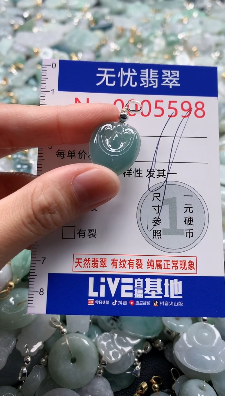 翡翠未镶嵌吊坠(不含链)5598