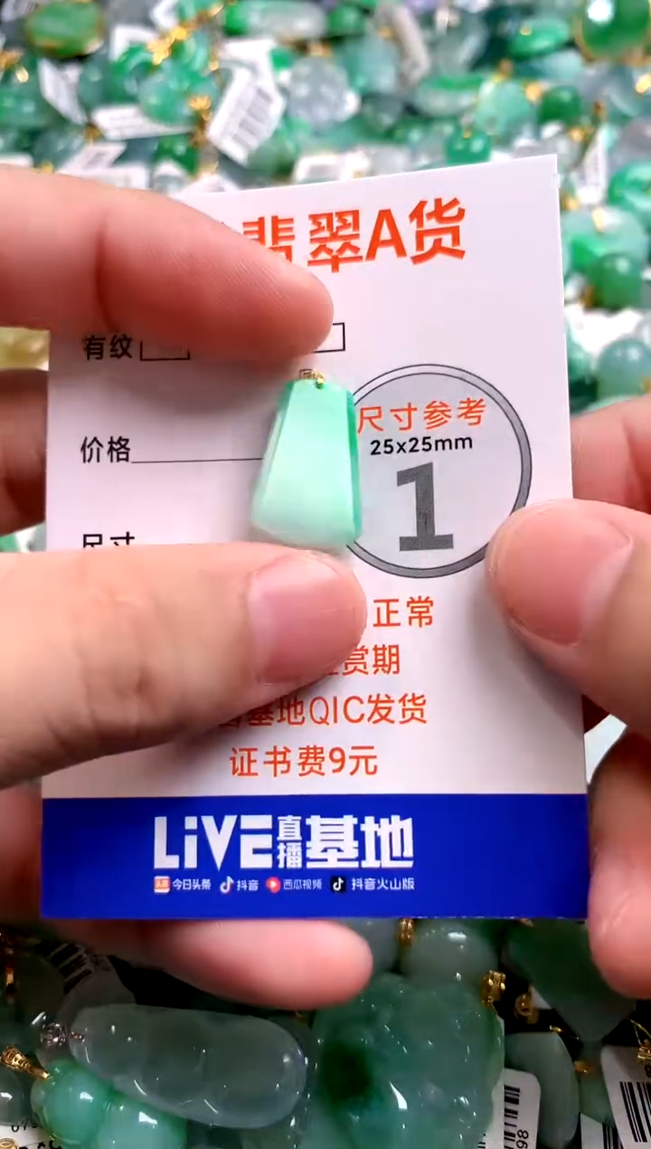 颈饰18K金镶嵌翡翠0667685071