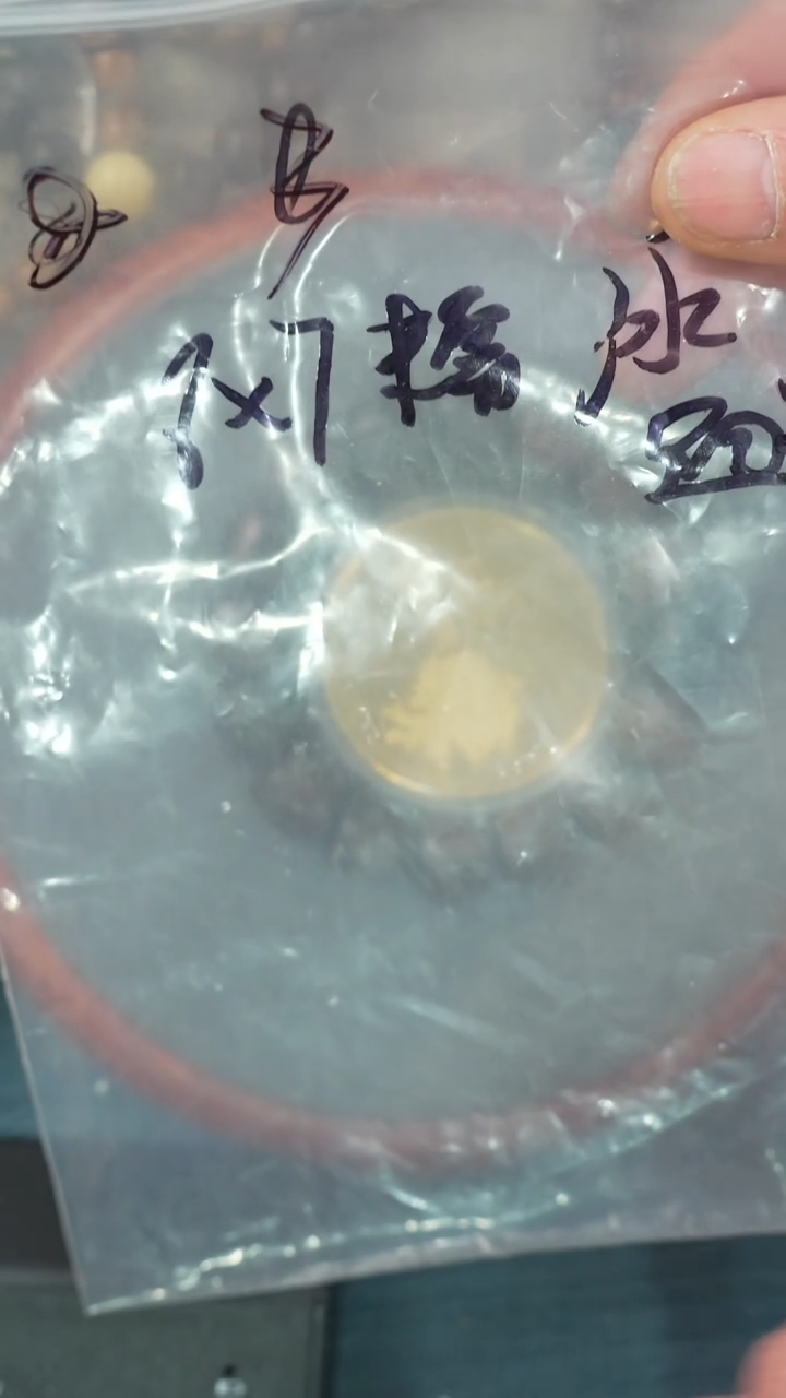 【闪购商品】星月菩提吊坠净庄阁文玩